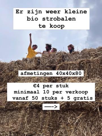 Bestellen via persoonlijk bericht of via mail naar info@plukboerderijgrondig.be 🌾. 

#supportlocal #duurzamelandbouw #korteketen