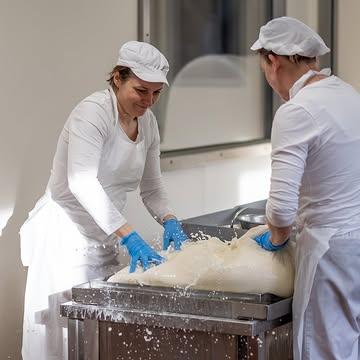 💦🔫 Nee, dit is géén waterspelletje om de hittegolf te trotseren! 
Het ziet er misschien uit als waterpret, maar we vangen de laatste wei uit de kaastobbes op in kaasdoeken om zo weinig mogelijk wrongel verloren te laten gaan. Na het nodige gespetter lekken de zakken rustig uit, precies zoals onze kaasvormen, en vormen ze de basis voor ons smeerkaasje Basiel. 🧀  #nietsverlorenlatengaan
