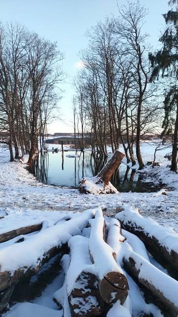 I'm emerging from a period of self-doubt, and though it fuels reflection, it can also block creative flow.
.
Clay has been my anchor, my 🤍 & 🐾 my rescue.
.
Through clay, my path has crossed yours, and I'm so thankful for your support.
Thank you from the bottom of my heart.
Your enthusiasm for the wood fired pieces, trust for commissions, and participation in classes are the foundations of my dream job.
.
As winter does its magic, let's follow nature's pace and take our time. 
Is it a way to resist against the system? Or a privilege of a few ? I wonder. 
.
{FR}
Je sors d'un long cycle de questionnements et de doutes.
S'ils sont salutaires pour avancer, ils peuvent parfois bloquer la créativité. 
. 
Dans ces moments de sensibilité intense, la terre me ramène à l'essentiel. 
Quelle chance d'avoir trouvé ma voie et de pouvoir partager ce chemin avec vous! 
Ce n'est pas un long fleuve tranquille - résilience est mon 2e prénom- mais tant que l'étincelle brûlera, on veillera sur la flamme. 
.
Grâce à vous, à votre enthousiasme pour les pièces cuites au bois, à votre soutien par ici, à votre présence aux cours (complets 🙏🏻 de nouvelles propositions arrivent pour le printemps), à vos commandes, je poursuis ce métier-passion avec joie et confiance. 
MERCI !
.
Belle reprise et si, comme moi, vous êtes encore en mode hibernation, autorisez-vous ce rythme, vous suivez la saison ! ❄️
.
.
.
#artsandcrafts #wintermagic #luxembourgbelge #ceramicstudio #potterystudio