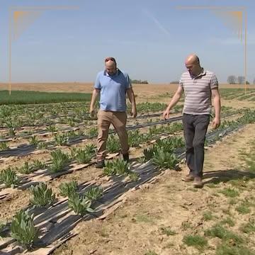 Vous voulez une belle histoire à raconter à vos convives ?👏

Ce week-end sera parfait ☀️
Vous voyez ? 
Nous travaillons de beaux et bons produits pour un résultat qui s’apprécie en bonne compagnie ;-)

Et pour la commande, voici où trouver nos produits?
Par ici,
📍http://noblesse1882.be/ou-nous-trouver/
Plus d’excuses 😉

Invitez, partagez, goûtez &
Libérez sa fraîcheur💦

Le Pastis Ardent
Intense par Nature

#Noblesse,
#LoeuvreDuTemps #PastisArdent #MadeInWallonie #Liege #ProduitWallon #alcoolBelge #drinkstagram🍸