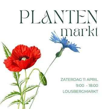 Onze winkelcollega Lieselot heeft opnieuw een veld mooie kruidenplantjes opgekweekt. Op zaterdag 11 april vind je haar terug in de markt voor onze eerste plantenmarkt van het seizoen.

Noteer ook alvast zaterdag 23 mei in je agenda. Dan is er niet alleen opnieuw het Fernand buurtfeest, maar ook de tweede plantenmarkt, met ook tomaten-, aubergine-, paprika- en courgetteplantjes van de eigen Vroente-boerderijen.