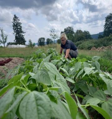 Nous vous présentons Marie Destiné

La nature et l’humain, qui tente chaque jour de la comprendre — parfois de la dompter — sont mes plus grandes sources d’inspiration.
J’aime à dire que la nature est la colonne vertébrale du ¡Toma ! : c’est elle, au rythme des saisons, qui donne le ton. 🌿
De la terre à l’assiette, elle nous met au défi de la sublimer sans jamais l’oublier.
Ici, rien ne se jette : tout se transforme.
Et qui mieux que Marie pour incarner cette philosophie ?
La terre, c’est sa passion, sa vie.
C’est elle qui cultive et récolte la grande majorité de nos légumes.
La gestion des stocks, le labo de transformation, le séchage… c’est encore elle.
Tantôt « in », tantôt « out », tantôt « hot », tantôt « cold », Marie s’adapte — Elle suit la météo, l’humeur du sol, les caprices d’un légume comme les lenteurs d’une graine. N’est-ce pas là le propre même de chaque producteur ?
Marie, c’est une histoire.
Son histoire.
Pourquoi maraîchère ?
Parce que là où d’autres voient de la terre, elle voit la vie. 💚
Là où d’autres voient un métier, elle voit une évidence. ✨