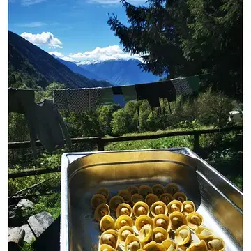 TERUGBLIK
Rifugio Val di Togno X Elders

1 week geleden vertrokken we, met een volgeladen auto, richting de bergen in Lombardije. Daar wachtten @lunalyb & @allewout ons op met hun jeepke. Het begin van een intens maar boeiend en uitdagend weekend. We volbrachten samen, een catering op maat, op een toch wel unieke locatie! Super merci om ons uit te nodigen!! NWLY ❤️