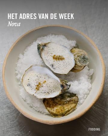 Terwijl de winterkermis de Grote Markt van Sint-Niklaas vult met neonlichten en churrosgeuren, verwelkomt Nova, op een smoutebolsprong afstand, zijn gasten op vaste uren. In een kleine, langgerekte zaal laat Tineke Maerevoet 18 gasten kennismaken met de radicaal ecologisch-lokale keuken van haar autodidactische echtgenoot Guy de Jonghe. Aan de hand van één vast menu in vijf gangen presenteert de chef zijn sterk op sauzen gerichte gerechten.⁠
⁠
Lees onze volledige review via de link in bio!⁠
⁠
Tandis que la kermesse d’hiver balance ses néons et ses odeurs de churros sur la Grote Markt de Saint-Nicolas, Nova accueille ses convives à heure fixe. Dans une petite salle conjuguant bois clair et tons crème, Tineke Maerevoet dorlote les 18 mangeur·ses venu·es se frotter à la cuisine écolocavore radicale de son mari Guy de Jonghe. Au fil d’un menu unique en cinq étapes, le chef déroule ses délices à forte tendance saucière.⁠
​⁠
Retrouvez notre chronique complète via le lien en bio !⁠
⁠
👋 @novasintniklaas⁠
📷 @larsduchateau