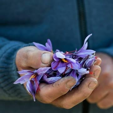 Hands
Handen
Mains
Hände
Manos
ръце
Mani
دست ها
.
It's all about handwork and precision!
.
#belgischesaffraan #morkhoven
.
Pics: @seasonsmagazine