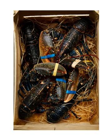 L O B S T E R
Back by popular demand this week, lobster sauce pasta.

Day boat blue lobsters from Brittany are made into a fumet, with reduced tomato water, plenty of butter, lobster coral, claw meat and vin jaune 💛. The sauce is tossed through rigatoni and finished with tarragon, pangrattato, lemon zest and a spoon of trout roe.

🔪@theo.leonard_ @tonnoirloick 
📷@samaharris