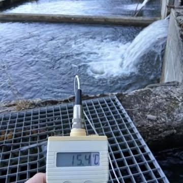 Canicules : l'œil du pisciculteur sur le cheptel! 👀🐠
On surveille de près la santé des poissons, leur comportement et les paramètres de l'eau. C'est un travail de tous les instants pour assurer le bien-être et la survie de nos Truites. Un vrai travail d'orfèvre aquatique !
#Pisciculture #Surveillance #Canicule #BienEtreAnimal