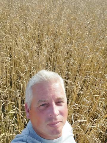 Biodynamisch bakspelt in de laatste rijpingsfase
