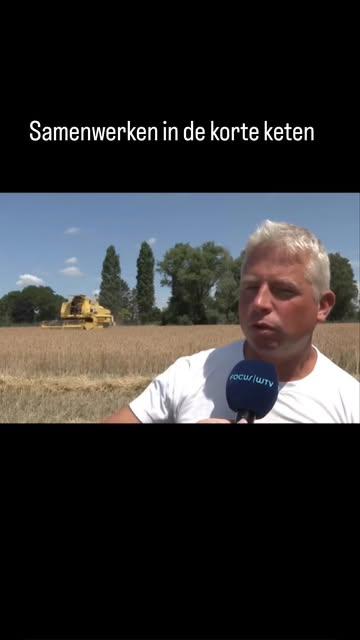 Biodynamisch # graan van  @de_blauwe_spie zal in de IJzerkotmolen vermalen worden tot bloem voor brood van @oosterbrood. Een visionaire strategie en voorbeeld voor de toekomst van de duurzame landbouw en de korte ketenwerking.