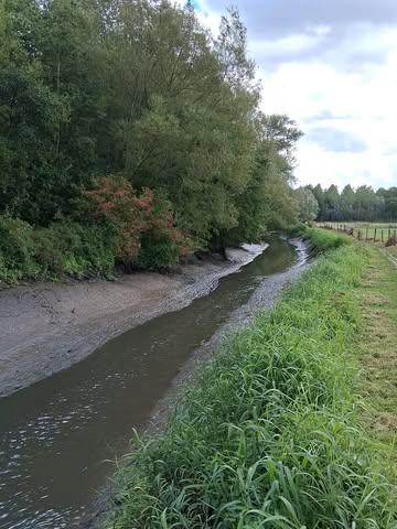 Werken aan de klepstuw. De Vlaamse Milieu Maatschappij voerde noodzakelijke werken uit aan de pistons van de klepstuw. Daardoor stond het water van de Zwalm deze  week erg laag.