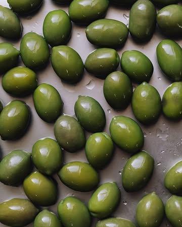 A few ones for @ciao.brussels – December 2024