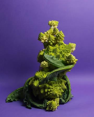 Images d’une semaine dédiée au stylisme et à la photographie culinaire avec @laurie_greco_ , partagée avec les étudiant·e·s du @masterfooddesign_brussels 

Observer, composer, raconter. Entre lumière, matières et jeux de couleurs.

Merci aux étudiant·e·s pour leur curiosité et leur belle énergie. ✨

-

Images from a week dedicated to food styling and culinary photography with @laurie_greco_ , shared with the students of @masterfooddesign_brussels

Observing, composing, storytelling — through light, textures and plays of colour.

Many thanks to the students for their curiosity and wonderful energy. ✨