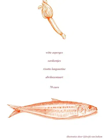 Nieuwe menu vanaf 06.05

Illustraties door @kwijk.van.lodium