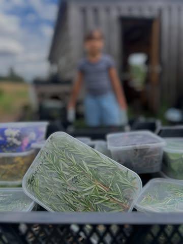 Aujourd’hui, on a pris l’air.

Quitter le restaurant quelques heures.
Respirer.
Se reconnecter à l’essentiel.

Des herbes fraîches.
Des légumes de petits producteurs.
Des produits bruts.
Des rencontres.

Parce qu’avant d’arriver dans vos assiettes, il y a des femmes, des hommes et une passion commune.

C’est aussi ça qui nous inspire, chaque jour. 🌿🤍