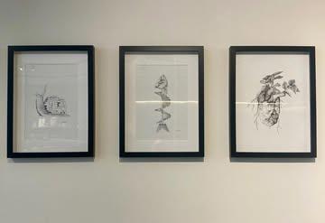 We hebben een nieuwe tentoonstelling in de bakkerij! Deze keer van @i.sternal! ❤️🩷🖤