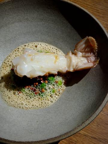 La nouvelle carte débarque dès vendredi à Ivresse 🌿

Ici la langoustine, ragoût de petits pois à l’ail des ours et sarrasin soufflé, dispo jusqu’à jeudi.

Que vous vouliez goûter le menu de printemps avant la fin ou découvrir le programme de juin, réservez via le lien en bio ou au 02 520 57 39. 

📷 @marine.pirson