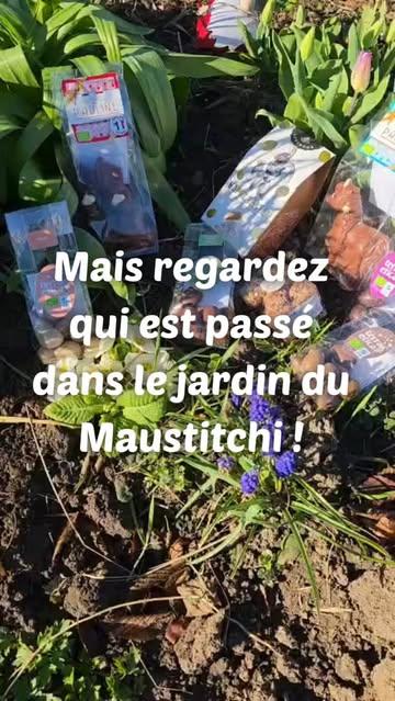 🔔RDV en magasin !🔔