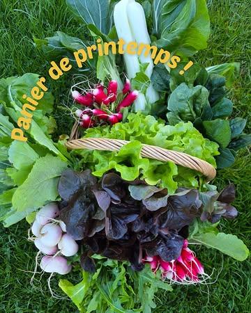 Le printemps arrive dans les champs… et dans les paniers ! 🌿🥬

Les premières belles récoltes sont là, fraîches, tendres et pleines de couleurs.
En ce moment, les paniers se remplissent avec les légumes du printemps qui poussent ici, à la ferme :

🥬 épinards
🥢 pak choï
🌶️ radis
🥗 salades
🌿 roquette

Une saison qui redémarre, des champs qui se réveillent, et des paniers qui plein de saveurs,  de frais,  et de vivant 💚

#LaFermeDuMaustitchi #PanierDePrintemps #LégumesDeSaison #BioLocal #CircuitCourt #RécolteDuJour #PrintempsALaFerme