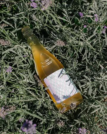 Sunny days call for something fizzy and fresh.⁠
⁠
Brewed by Yassine of @figa_kombucha, this oregano kombucha lifts a humble kitchen staple into something crisp, herbal, and full of character. We first poured it during our five-year birthday weekend as a toast to the occasion, and it is now available in store and with Figa.⁠
⁠
Making new flavors together has always been our way to play, explore, and see where curiosity takes us. This one reminds us of the albums we love most, the ones that feel unassuming at first listen but keep opening up the more time you spend with them.

Label design by @somekind.studio
Picture by @larsduchateau