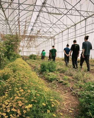 Le froid arrive, retour sur notre visite chez Dries @mondedesmillecouleurs et ses serres presque tropicales en pleine flandre occidentale !

Avec les petits pois du champs à l’assiette !
