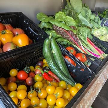 Om onze trouwe leden te bedanken, werken we dit jaar met een nieuw concept: alle leden met een abonnement op een groentepakket, krijgen een heel jaar lang korting op al onze groenten in de hoevewinkel!

Wie bij ons een groentepakket bestelt, bestelt een volledig smaakpalet. Iedere week krijg je een heerlijk pakket verse seizoensgroenten recht van het veld. Met aanvullende kruiden en eetbare bloemen geef je jouw bereidingen extra kleur en smaak. Heb je zin in nog meer verse groenten, dan kan je in onze hoevewinkel terecht om je boodschappentas verder te vullen. En je krijgt elke week extra korting op de groenten uit de winkel als je kiest voor een groentepakket!

Wil jij graag mee genieten van onze overheerlijke groenten en mee bijdragen aan regeneratieve landbouw? Je bent heel erg welkom om je in te schrijven voor een groentepakket!

Check onze website: www.strackxhoeve.be/winkelen