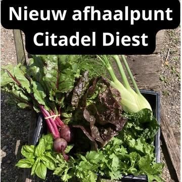Ons afhaalpunt in Diest verhuist naar Citadel bij Grond Gezond! Vanaf 22 april kan je hier dus onze heerlijke verse groentepakketten afhalen ✨🥬✨

Dit seizoen kan je je groentepakket afhalen in @citadeldiest  bij @grond.gezond, een initiatief dat de korte keten en grondherstellende landbouw ondersteunt. Bij Grond Gezond kan je terecht voor verse, lokale en biologische groenten rechtstreeks van de boer. We leverden er vorig seizoen al regelmatig kraakverse groenten recht van het veld. En nu kan je er dus ook terecht voor het afhalen van onze groentepakketten!

Heb je interesse in een groentepakket in Diest? Inschrijven kan via onze website: https://strackxhoeve.be/winkelen/

#korteketen #regeneratie #rechtvanhetveld #citadel #grondgezond #veerlelaakdal #diest