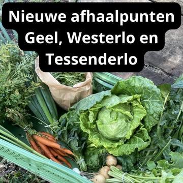 Nieuwe afhaalpunten voor groentepakketten in Geel, Westerlo en Tessenderlo✨🥬✨

Het eerste afhaalmoment van de groentepakketten is op woensdag 22 april. Nog 4 weken aftellen dus en dan is het eindelijk zover! Dit seizoen kan je voor het afhalen van je groentepakket terecht in maar liefst 4 nieuwe afhaalpunten.

Het afhaalpunt in Diest verhuist naar Citadel bij Grond Gezond.

Ook voor ons afhaalpunt in Tessenderlo zijn we op zoek naar een nieuwe locatie, nu LEF de deuren definitief gesloten heeft. Hierover volgt binnenkort meer info. Je kan wel al inschrijven voor een groentepakket in Tessenderlo, want we leveren er ook dit seizoen zeker groentepakketten.

En er borrelt nog meer achter de schermen, want ook in Geel en Westerlo openen we dit jaar een afhaalpunt. Ook hiervan volgt binnenkort meer info over de locatie. Inschrijven kan al wel, want de chauffeurs staan te popelen om hier groentepakketten te leveren dus onze groenten vliegen sowieso die richting uit!

Heb jij de ultieme tip voor een afhaalpunt in Geel, Westerlo of Tessenderlo? Of wil je graag je eigen locatie ter beschikking te stellen? Alle tips zijn heel erg welkom dus stuur ons gerust een bericht!

Inschrijven voor een groentepakket kan hier: https://strackxhoeve.be/winkelen/