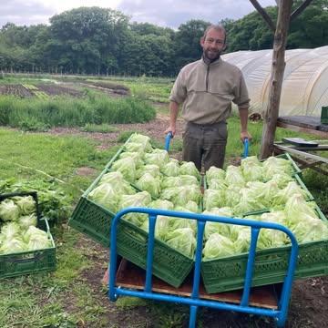 Welke groenten zitten er allemaal in het groentepakket?

Dat is een vraag die we regelmatig krijgen. En het antwoord is heel simpel: het zijn er super veel en ze zijn allemaal super lekker! We telen een gevarieerd aanbod, van gekende klassiekers, tot vergeten groenten en  minder gekende smaakvolle verrassingen. Er zitten altijd super veel lekkere groenten in het pakket en helemaal afgestemd op het seizoen!

En als er toch een groente in je pakket zit die minder in de smaak valt, kan je deze gewoon omwisselen voor een andere groente. Want dit jaar werken we met meer flexibiliteit in onze pakketten, en kan je zelf kiezen welke groenten je mee naar huis neemt. Dus als je even geen zin hebt in bloemkool, dan neem je in de plaats een lekkere pompoen mee naar huis. Wisselen kan met alle groenten uit de hoevewinkel, volgens het aanbod van het moment. Zo neem je altijd een groentepakket mee naar huis dat helemaal naar jouw wens is!

Hier is alvast een greep uit het aanbod van onze groenten
✨Bladgroenten zoals sla, bladmosterd, rucola, spinazie en mizuna
✨Kolen in alle soorten en kleuren: bloemkool, broccoli, savooikool, rode kool
✨Vergeten groenten zoals raapjes, koolrabi, warmoes en rammenas
✨Verschillende soorten boontjes, snijbonen, peultjes en tuinbonen
✨Zomergroenten zoals aubergine, courgette, tomaat en komkommer
✨Smaken om te ontdekken zoals tatsoi en sanguisorba
✨Herfst- en wintergroenten zoals pompoen en spruiten
✨Heerlijke smaakmakers zoals bieslook, stengelui, koriander en cayennepeper
✨En ook nog radijzen, rode biet, paksoi, chinese kool, schorseneren en veel meer!

Inschrijven kan via: https://strackxhoeve.be/winkelen/