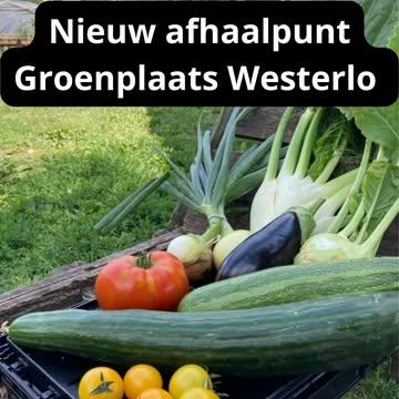 De locatie van ons afhaalpunt in Westerlo is bekend!

Dit seizoen kan je ook elke week je groentepakket afhalen in Westerlo, bij Natuurwinkel Groenplaats @natuurwinkelgroenplaats. In deze buurtwinkel met een hart💖staan vers, lokaal en duurzaam centraal. Je kan er terecht voor biologische groenten, fruit en nog zoveel meer. En dat altijd met een stralende glimlach!

Bij Natuurwinkel Groenplaats werken ze zoveel mogelijk samen met lokale helden. En als lokale held leveren wij er maar wat graag onze groentepakketten! Vanaf woensdag 22 april kan je er dus elke week terecht voor het afhalen van je groentepakket.

Inschrijven kan via: https://strackxhoeve.be/winkelen/

#korteketen #samenwerken #lokalehelden #rechtvandeboer #biologisch #regeneratie #westerlo #veerlelaakdal