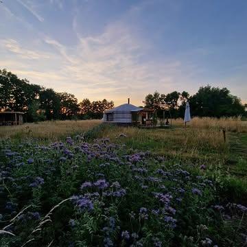 Welkom om te overnachten op de boerderij!

Kom genieten op de boerderij in  onze unieke accommodaties. Je kan overnachten in een gezellig ingerichte yurt met eigen keuken, twee veldtenten, en sinds dit seizoen een tiny house op een truck. 

Er zijn zoveel redenen om naar hier te komen voor een zalig verblijf in Veerle-Laakdal!

✨Heerlijk genieten van de rust, tussen fluitende vogels en pas aangeplante bomen
✨Verse groenten om zelf heerlijk mee te koken liggen voor je klaar in onze hoevewinkel
✨Schuif gezellig mee aan tafel tijdens een Velddiner of Buurtkeuken
✨Je kan een terrasje doen met uitzicht op het veld in onze Zomerbar
✨Zalige avonden aan onze kampvuurplek met zicht op zonsondergang 
✨In de bossen rondom de boerderij kan je eindeloos wandelen of prachtige fietstochten maken
✨Ook de abdijen van Averbode en Tongerlo zijn vlakbij voor een vleugje cultuur

Zin gekregen in een heerlijk verblijf in de velden van de boerderij in Veerle-Laakdal? Reserveren kan via onze website: https://strackxhoeve.be/veldterusten/