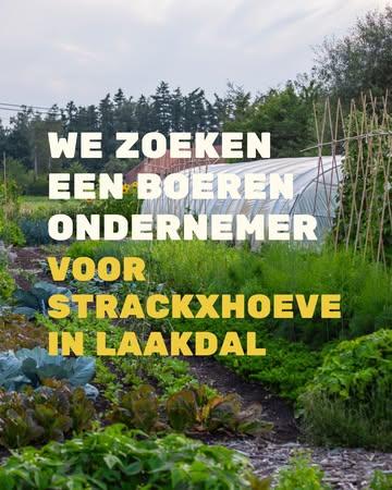 We bouwen al 5 jaar aan iets moois op @strackxhoeve in Laakdal. 🌱

In deze fase vraagt de boerderij om nieuw leiderschap. Een ondernemer. Iemand die financiën leest, een team aanstuurt en commerciële kansen ziet. Die structuur brengt zonder de ziel van de plek te verliezen.

De basis staat. 7 hectare grond in regeneratie, een levendige gemeenschap, velddiners, CSA-pakketten en agroforestry. Jij structureert en bouwt het verder uit.
Woon en werk op een regeneratieve boerderij in het mooie coulissenlandschap van de Zuiderkempen. Met een basisinkomen, ondernemersvrijheid en een netwerk van Lenteland boeren om je heen.

Ken jij iemand die dit ligt? Tag ze. 👇

📅 Op 15 juli organiseren we een kennismakingsdag op de boerderij. Meld je daar voor aan via de vacature.

🔗 Vacature via de link in bio.