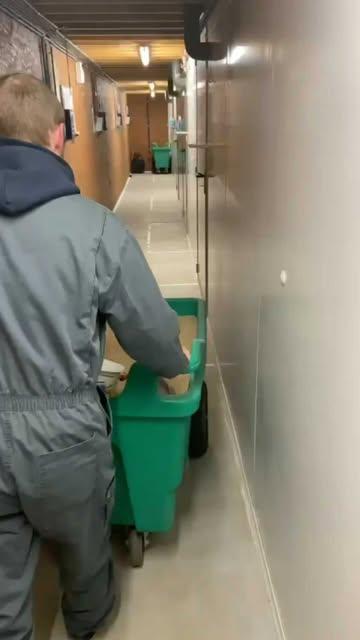 On vous présente nos nouveaux pensionnaires 🐔