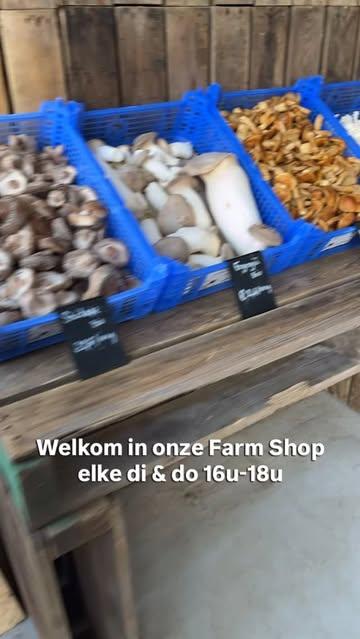 Zin in écht verse paddenstoelen? 🍄
Onze Farm Shop is open op dinsdag & donderdag van 16u tot 18u
Super vers aanbod oesterzwammen, shiitake, eryngii, nameko, lion’s mane & meer
👉 Rechtstreeks van de kwekerij

#farmtotable #korteketen #paddenstoelen