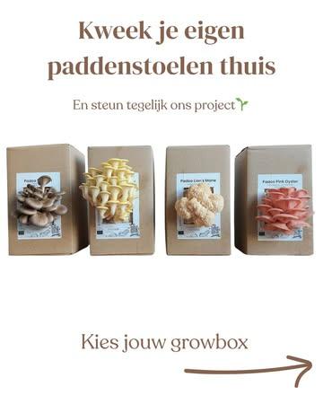 🍄‍🟫 Welke growbox past bij jou? Laat het ons weten in de comments 👇

Met onze growboxen kan je thuis eenvoudig paddenstoelen kweken.
Maar er is meer: met je aankoop steun je ook onze crowdfunding bij @delandgenoten

Zo help je ons om 't Uilenbos verder uit te zetten. 🌱

💸 €25 per growbox

⏳ Bestellen kan tot en met 15 april

📦 Afhalen tussen 25 en 31 mei
📍 In een afhaalpunt naar keuze

👉 Bestellen via de link in bio

Dankjewel om lokale en duurzame initiatieven te steunen 💚

#growkit #padoo #crowdfunding