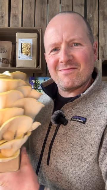 Zelf paddenstoelen kweken? Het is makkelijker dan je denkt 🍄

Met onze growkits heb je enkel water en een beetje geduld nodig — de rest doet de natuur.
En geloof ons: het is bijna magisch om ze dag per dag te zien groeien.

👉 De komende week posten we élke dag een update
Van het openen van de kit tot het oogsten — volg dus zeker mee.

💛 Extra mooi: deze kits kan je nu kopen via ’t Uilenbos,
een bioboerderij bij Lokeren die al 20 jaar werkt rond lokale, biologische landbouw.

Ze staan momenteel voor een belangrijke doorstart met een nieuwe generatie boeren.
Via een crowdfunding helpen ze de toekomst van de boerderij veilig te stellen.

Met je aankoop:
🍄 kweek je je eigen zwammen
🌱 steun je een sterk lokaal landbouwproject

Keuze uit:
– gouden oesterzwam
– roze oesterzwam
– grijze oesterzwam
– lion’s mane

👉 Link in bio van @bioboerderij_uilenbos_2.0