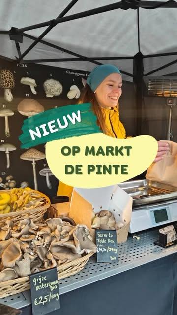 🍄‍🟫 NIEUW op de markt van De Pinte!

De lekkerste bio & lokaal geteelde paddenstoelen rechtstreeks van onze kwekerij op jouw bord.
Van klassieke oesterzwammen tot bijzondere pareltjes zoals Lion’s Mane en Maitake. Vers, smaakvol en perfect voor al jouw culinaire avonturen — gebakken, gegrild of in een heerlijk gerecht.

Kom proeven en kopen!
Elke vrijdag van 15u tot 19u op de boerenmarkt van De Pinte.
Tot vrijdag? We staan er voor je klaar! 🥰

📍Polderbos 2 9050 De Pinte 
( naast Okay supermarkt / polderbospleintje)

#DePinte #Boerenmarkt #BioPaddenstoelen #LokaalGeteeld #korteketen