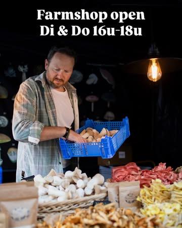 🌿 Markt gemist dit weekend? Geen nood!
Onze farmshop is open op dinsdag en donderdag van 16.00 tot 18.00 uur bij de kwekerij [Opperhofstraat 30 Drongen].
Kom langs voor je verse, lokaal geteelde paddenstoelen– rechtstreeks van kwekerij, boordevol smaak!
Tot dan!