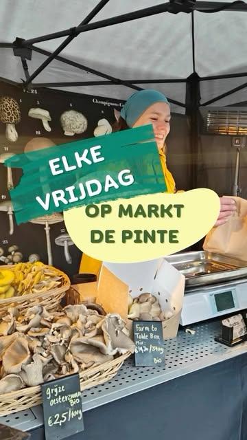 🍄‍🟫 Elke vrijdag op de boerenmarkt van De Pinte!

De lekkerste bio & lokaal geteelde paddenstoelen, rechtstreeks van onze kwekerij naar jouw bord.

Van klassieke oesterzwammen tot bijzondere pareltjes zoals Lion’s Mane en Maitake. Vers, smaakvol en perfect voor al jouw culinaire avonturen — gebakken, gegrild of in een heerlijk gerecht.

Kom proeven en kopen!

Elke vrijdag van 15u tot 19u
Polderbos 2, De Pinte (naast de Okay supermarkt)

Tot vrijdag? We staan er voor je klaar! 🥰

#DePinte #BoerenmarktDePinte #BioPaddenstoelen #LokaalGeteeld