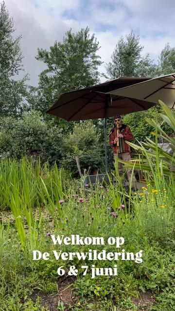 Op 6 & 7 juni vind je ons op de Ecotuindagen bij @deverwildering 🌿🍄

Van 9u tot 18u ontdek je er bijzondere planten, ambacht en buitengewone paddenstoelen.

Kom ook proeven van lekkere paddenstoelen bites door @vegamuze 

Tot dan! 🍄🌞🌿

#Ecotuindagen #velt