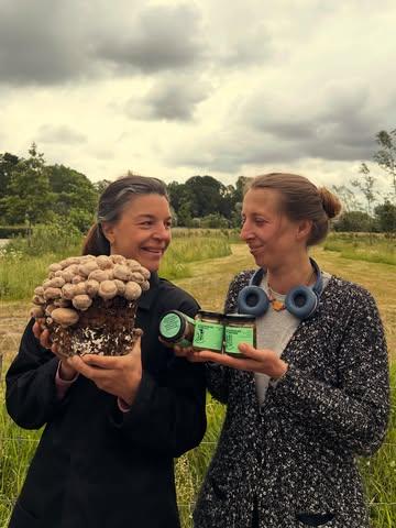 💚 “It’s not about producing more. It’s about making the best with what we already have”

Met onze reststroom maakte @compliments.of.nature.a een nieuwe reeks overheerlijke paddenstoelenpickles.

🍄‍🟫 Shiitake en eryngii worden gemengd met verse kruiden, ui en vooral: heel veel liefde. Het resultaat? Een frisse, hartige smaakmaker die perfect past bij salades, zomerse gerechten, toastjes of gewoon recht uit de pot.

Let op: licht verslavend 😅

Vanaf morgen verkrijgbaar in onze farmshop én dit weekend te proeven bij @deverwildering 🌿

#eatlocal #paddenstoelen #pickles