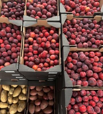 a colorful start of the week here in our warehouse! 💪💪🏻💪🏼💪🏽💪🏾💪🏿