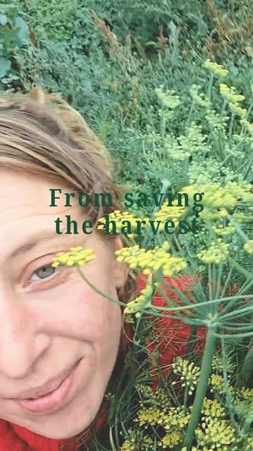 From saving the harvest to table stories. 💚🌿
Seasonal. Local. Within 50 km of you.
Breakfast, brunch, receptions or festivals. We bring the local farm to you with our delicious en ethical catering. 🍅🥕

Join me at the table.

Lots of love, Aleksandra

🔗 www.complimentsofnature.eu
