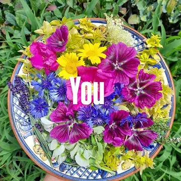 ❤️Why are you the most important part of the chain?
🫡The revolution starts on the table on plate.
On your plate.
👉Everything really revolves around you.
✨️That’s why you are the solution. 
❤️Because it is us, as consumers, who choose what we want to eat.
We go to the shops.
No one forces us to buy corn from Portugal, strawberries from Spain, or avocados from Mexico.
💚It is always your choice.
It is us who open a cookbook in the middle of winter and want to eat a summer salad 😬
That’s why we —❤️ you and I — are the real revolution.
If we stopped buying these products, there would be no demand for them.
Because no one would find a market for them.
🌿This is our responsibility:
to choose products that are in line with local possibilities.
❤️Cooperation with ethical farms is our choice.
Very often I hear the question:
👉“But where can I buy this? In the supermarket everything is available at once.”
A bit of goodwill is enough — Google will help you find an organic farm close to your home.
Once a week we can stock up on vegetables or order a vegetable box.
There are no excuses here — just a bit of free will.
🫣Another issue:
many “local” farm shops sell non-organic dairy and vegetables that are exactly the same as in the supermarket — bought from intermediaries.
(Worth thinking about: who are we really supporting?)
🌿Seasonality matters.
🌿When we ask local organic farmers for grapes, or for peppers and eggplants in March, they often import them to avoid losing customers.
Yes, it’s organic — but maybe it’s better to buy vegetables they actually grow themselves and that bring them real income.
❤️And this is where we arrive at the conscious consumer.
Know ho plant your food 🌿
Met your farms 🙌
Ask from where your food comes from 🙏
Be kind ❤️be loving food is  most important part of your life 
LotsOfLove Aleksandra 
@tschaaphof
 @verschil_naturelle
 @groentegem
 @iledebambecque 
@mondedesmillecouleurs
 @de_pret 
@on_kruid.be @lincelam
@chou_fleur_bioboerderij 
@brugboerbart 
@__p