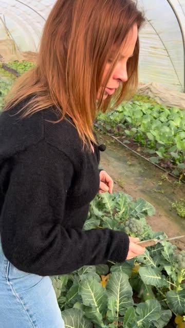 #permaculture #growyourownfood #farmlife #farming #fromfarmtotable #eigenkweek