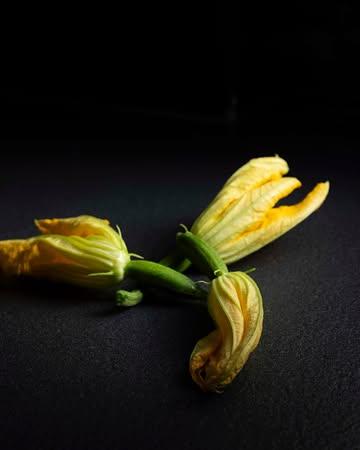 Romig. Zacht. Net een beetje wild.

Fleur de courgette gevuld met stracchino en gefermenteerde paprika — een gerecht dat er zo fragiel uitziet, maar op je tong precies weet wat het doet.

De bloem houdt de vulling gevangen tot het laatste moment. Dan geeft ze alles.

📍 Verschil Farm To Table 
🔗 Reserveren via link in bio of T. 051 43 67 20

#fleurdecourge #stracchino #fermentatie #seizoensgerecht #restaurantbelgique #cheflife #eetbelgie  #VerschilFarmToTable #GaultMillau #GaultMillauBelgium #FarmToTable #verschilnaturelle #foodie #freshproduce #localfoodlover #sustainablefood #farmersofbelgium #seasonaleats #michelinguide