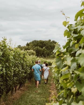 𝐎𝐩 𝐰𝐚𝐧𝐝𝐞𝐥 𝐢𝐧 𝐝𝐞 𝐰𝐢𝐣𝐧𝐠𝐚𝐚𝐫𝐝 🥾

Met een gids tijdens één van onze rondleidingen. Of gewoon op jezelf, met een plannetje van onze Entre-Deux-Monts route. Aan jou de keuze. 

Alle info over jouw bezoek aan ons domein, via link in bio.