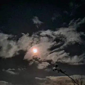 Volle maan vandaag.
De zon staat extra dicht bij de aarde, evenals de maan.
Daardoor wordt de maan extra belicht. Men noemt ze ook de wolfmaan. Ze verwijst naar de winterperiode waarin wolven hoorbaar waren in de stilte van de nacht.
#supermaan #wolfmaan #perigeum #jupiter #devollemaan #maanlicht #maanenergie #wolfmoon #lunation #celestial