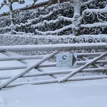 Volop romantiek op De Volle Maan! En jawel, wij zijn open! #romantiek #romantic
