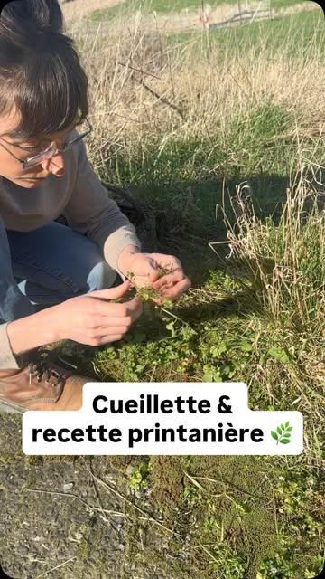 Quand on est hypersensible, on peut saturer très vite. Trop de bruit. Trop d’informations. Trop de tout.

Et parfois, ce qui aide vraiment… c’est quelque chose de tout simple.

Cueillir une plante.
La regarder. La toucher. La sentir.
Revenir au moment présent, doucement.

Ici, on je suis avec la cardamine hirsute, une petite plante sauvage au goût légèrement piquant (proche du cresson) que j’adore utiliser en cuisine.
Je la mélange à un chèvre frais (ou un fromage végétal), un peu de miel, sur un pain sans céréales pour que ce soit tout doux pour mes intestins. 

Simple, nourrissant, vivant.
Et si tu es hypersensible, dis-moi : est-ce que la nature t’aide, toi aussi, à redescendre ? 🌸

Je suis Hélène, Thérapeute spécialisée dans l’hypersensibilité. Je t’aide à t’apaiser durablement grâce à des pratiques simples et naturelles.

Merci @l’oreedubois pour les épinards, @de_volle_maan pour le fromage frais, @so_bake_it pour le pain ceto et @farm.montsaintjean pour la super choucroute et les olives! 😍

#cuillette #plantesmedicinales #plantessauvagesetcomestibles