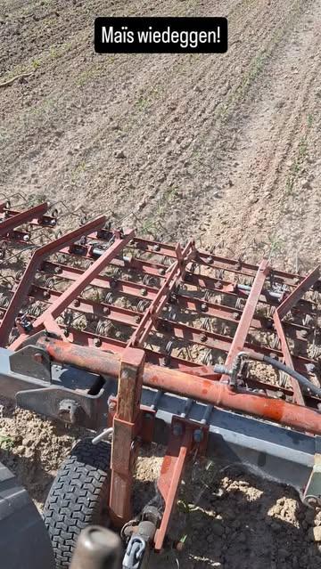 Vergif op ons veld, melk, kaas of dus op ons bord? Neen, dankjewel! Het kan ook eenvoudig zo: zonder onze maïs te behandelen met herbiciden gaan we deze gaan schoffelen. Toegegeven: het warme weer is hiervoor ideaal. Dit doet het onkruid onmiddellijk verwelken. Bio werkt en is zoveel gezonder! We gaan ervoor!#biologisch #gezondevoeding #purevoeding #gezondheid #passie
